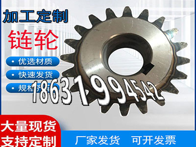 直齿轮便宜挖掘机齿轮保养齿盘材质如何齿轮好用吗齿轮怎么更换弧齿厂家地址